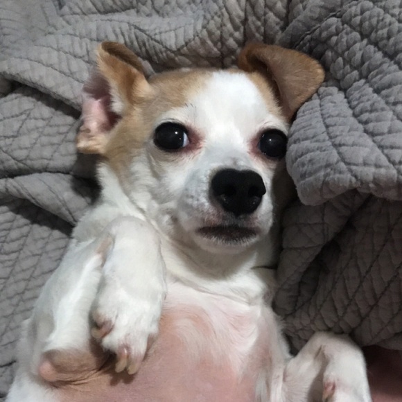 Marissa Sweet - Picture 3 of 3